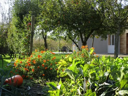 Gîte paisible à la frontière belge - 7 pers., Gite 7 personnes à Saint Waast - Photo 25