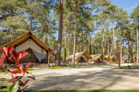 781408, Maison 4 personnes à  - Photo 5