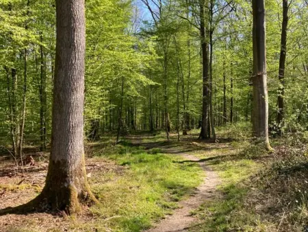 Gîte avec parking, animaux OK - Vue sur bocage, Gite 6 personnes à Marbaix - Photo 32