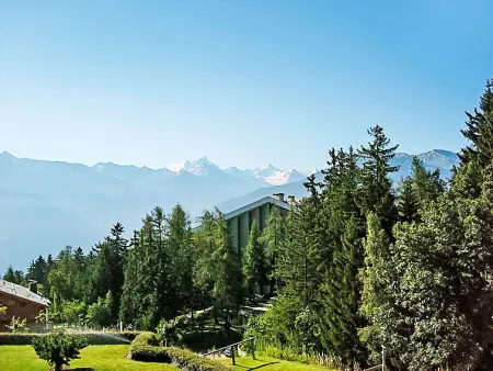 Terrasse Des Alpes 814, Appartement 4 personnes à Crans Montana - Photo 15