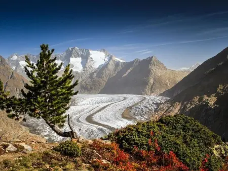 Alphütte Bielerchäller, Appartement 4 personnes à Fiesch - Photo 3