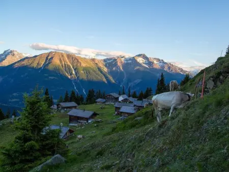 Alphütte Bielerchäller, Appartement 4 personnes à Fiesch - Photo 8