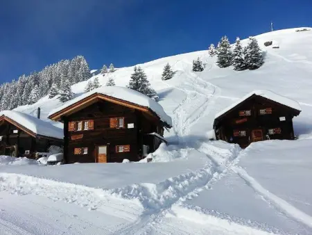 Alphütte Bielerchäller, Appartement 4 personnes à Fiesch - Photo 10