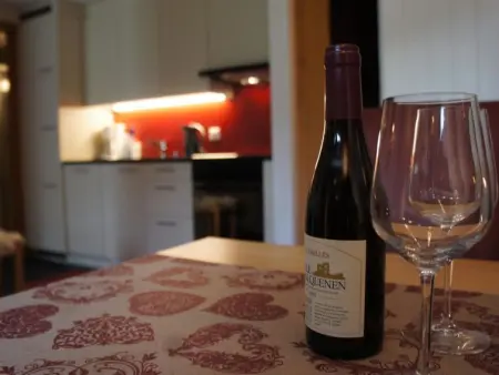 Sweda EG Süd, Appartement 2 personnes à Fiesch - Photo 9