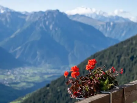 Zurschmitten 11 2. UG Süd, Appartement 2 personnes à Riederalp - Photo 14