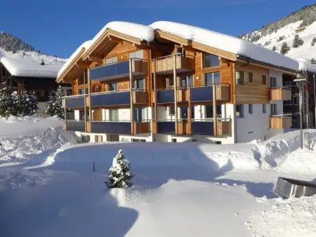 Amici 1. OG West, Appartement 4 personnes à Riederalp - Photo 1