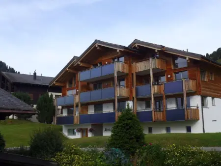 Amici 1. OG West, Appartement 4 personnes à Riederalp - Photo 2