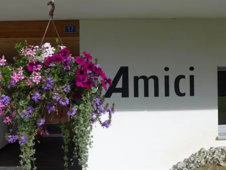 Amici 1. OG West, Appartement 4 personnes à Riederalp - Photo 4