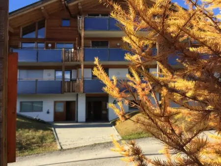 Amici 1. OG West, Appartement 4 personnes à Riederalp - Photo 5