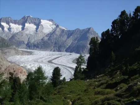 Amici 1. OG West, Appartement 4 personnes à Riederalp - Photo 10