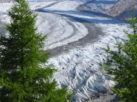 Amici 1. OG West, Appartement 4 personnes à Riederalp - Photo 11