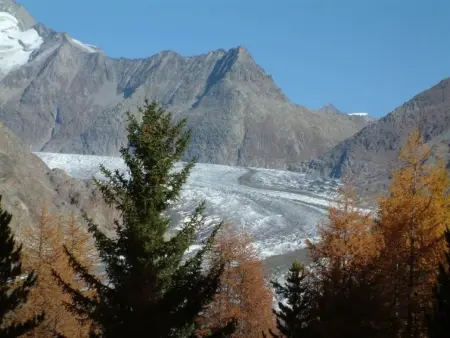 Amici 1. OG West, Appartement 4 personnes à Riederalp - Photo 13