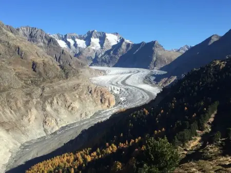 Amici 1. OG West, Appartement 4 personnes à Riederalp - Photo 15