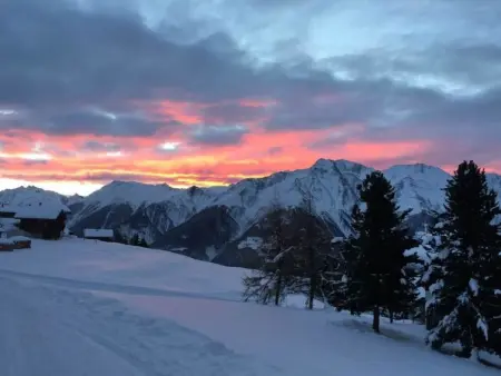 Amici 1. OG West, Appartement 4 personnes à Riederalp - Photo 19