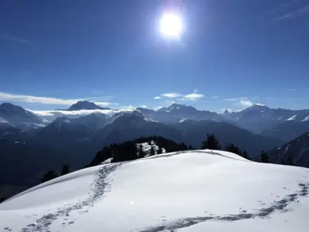 Amici 1. OG West, Appartement 4 personnes à Riederalp - Photo 24
