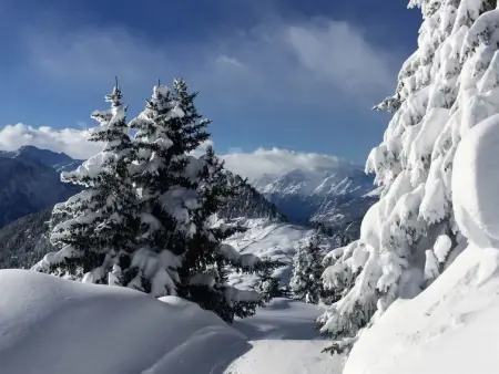 Amici 1. OG West, Appartement 4 personnes à Riederalp - Photo 25