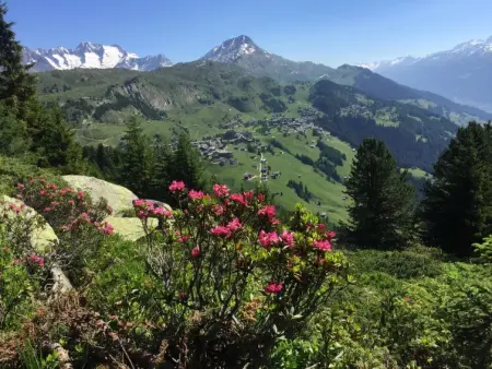 Amici 1. OG West, Appartement 4 personnes à Riederalp - Photo 39