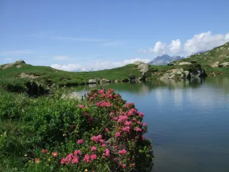 Amici 1. OG West, Appartement 4 personnes à Riederalp - Photo 40