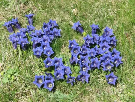 Amici 1. OG West, Appartement 4 personnes à Riederalp - Photo 44