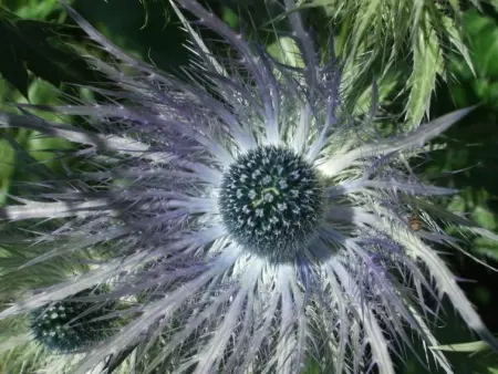 Amici 1. OG West, Appartement 4 personnes à Riederalp - Photo 46