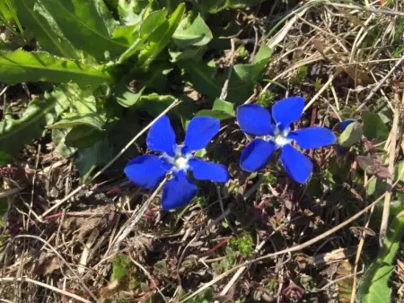 Amici 1. OG West, Appartement 4 personnes à Riederalp - Photo 47