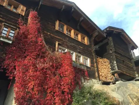Amici 1. OG West, Appartement 4 personnes à Riederalp - Photo 54