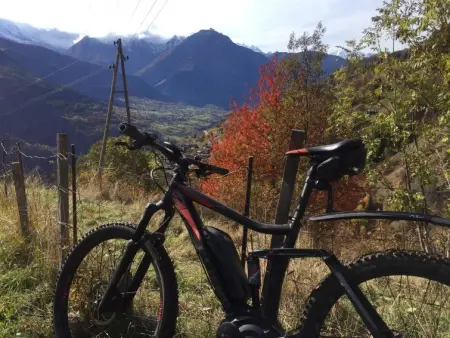 Amici 1. OG West, Appartement 4 personnes à Riederalp - Photo 56