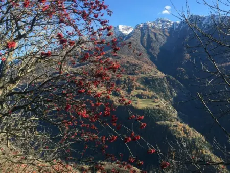 Amici 1. OG West, Appartement 4 personnes à Riederalp - Photo 57