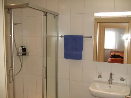 Amici 1. OG West, Appartement 4 personnes à Riederalp - Photo 67