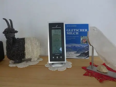 Amici 1. OG West, Appartement 4 personnes à Riederalp - Photo 74