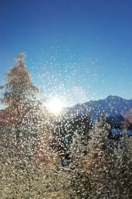 Amiel EG Süd, Appartement 5 personnes à Riederalp - Photo 12
