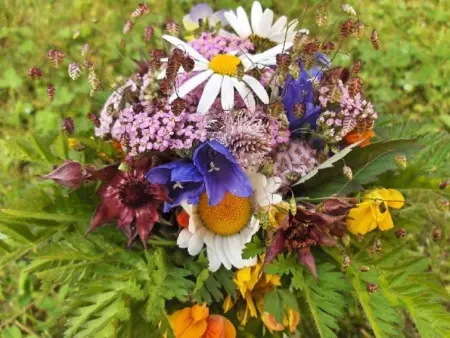 Amiel EG Süd, Appartement 5 personnes à Riederalp - Photo 14