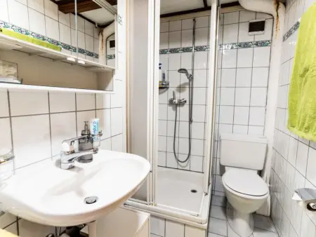 Bürcher Haus 1. OG Süd-Ost, Appartement 2 personnes à Riederalp - Photo 11