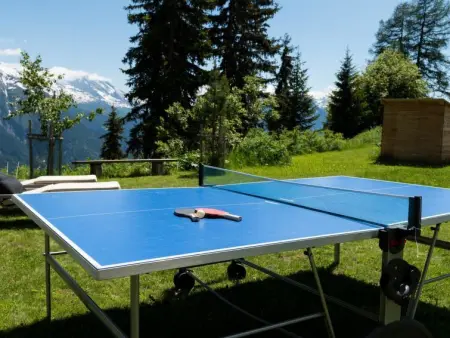 Bürcher Haus 1. OG Süd-Ost, Appartement 2 personnes à Riederalp - Photo 16