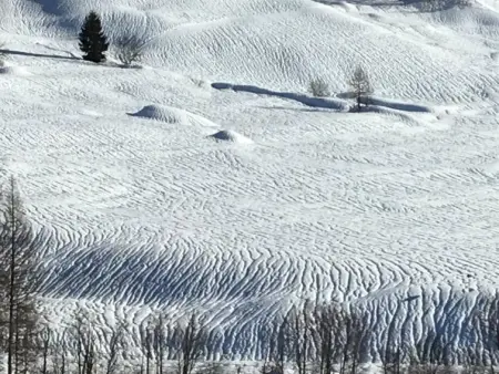 Almenrausch 2. OG Süd-Ost, Appartement 6 personnes à Riederalp - Photo 7