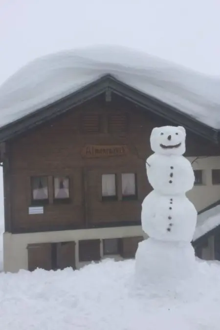 Almenrausch 2. OG Süd-Ost, Appartement 6 personnes à Riederalp - Photo 10