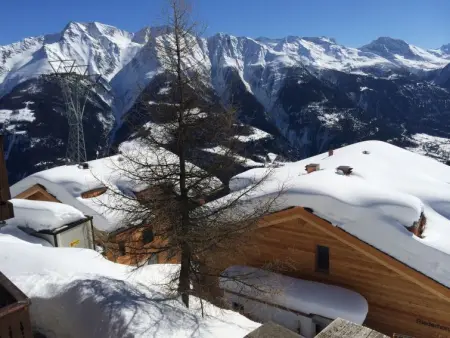 Almenrausch 2. OG Süd-West, Appartement 4 personnes à Riederalp - Photo 14