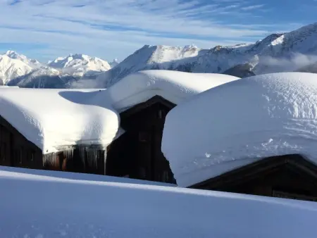 Almenrausch 2. OG Süd-West, Appartement 4 personnes à Riederalp - Photo 20