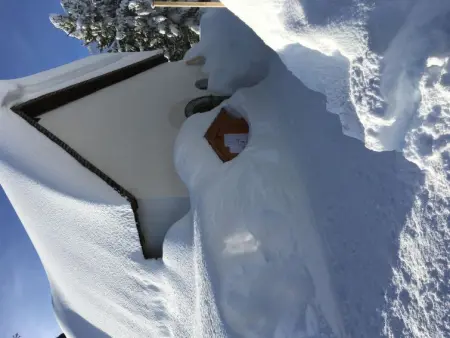 Almenrausch 2. OG Süd-West, Appartement 4 personnes à Riederalp - Photo 21