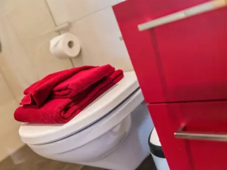 Apartmenthaus Riederhoru A 1. OG Ost, Appartement 6 personnes à Riederalp - Photo 17