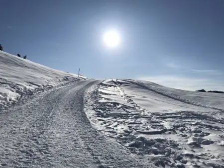 Almenrausch 1. OG Süd-Ost, Appartement 6 personnes à Riederalp - Photo 4