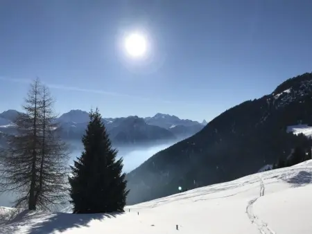 Almenrausch 1. OG Süd-Ost, Appartement 6 personnes à Riederalp - Photo 7