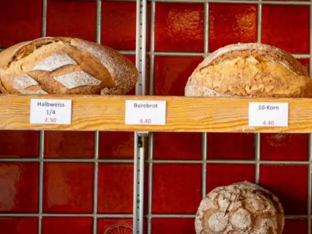 Zurschmitten 0 1. UG Süd, Appartement 2 personnes à Riederalp - Photo 11