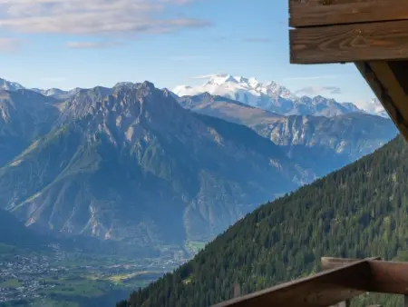 Zurschmitten 0 1. UG Süd, Appartement 2 personnes à Riederalp - Photo 16