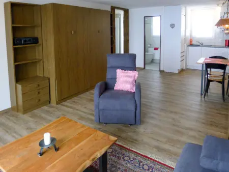 Petrani, Appartement 3 personnes à Emmetten - Photo 8