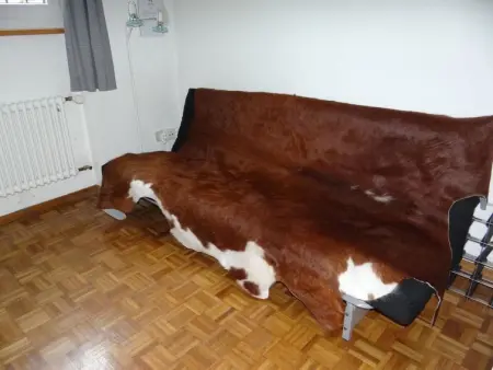 Chalet Eien, Appartement 6 personnes à Engelberg - Photo 13