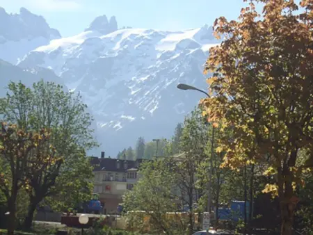 Blumenweg 2, Appartement 4 personnes à Engelberg - Photo 20