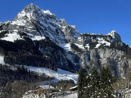 Studentenweg 33, Appartement 2 personnes à Engelberg - Photo 15