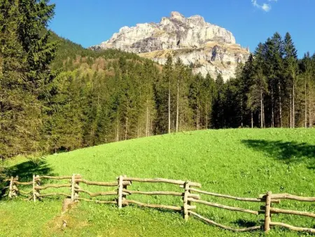Chalet Bergmandli, Appartement 8 personnes à Engelberg - Photo 18