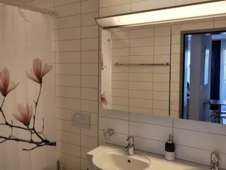 Hess Park, Appartement 4 personnes à Engelberg - Photo 11